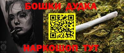 индика Пугачёв