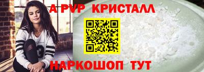 индика Пугачёв