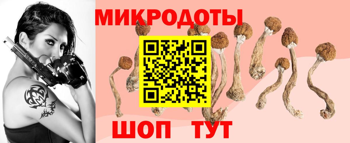 Псилоцибиновые грибы Psilocybe  Вход с VPN  Галлюциногенные грибы Magic Shrooms  Балтийск 
