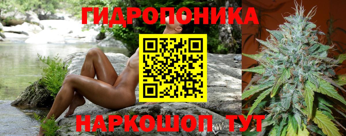 Каннабис семена  Вход с VPN  Конопля ГИДРОПОН  Балтийск  Канабис Ganja 